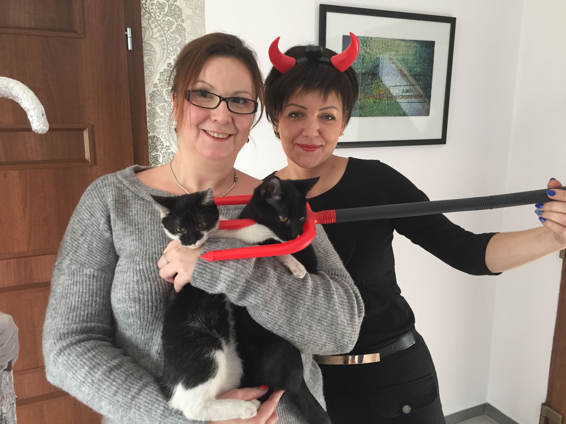Opieka Nad Osobami Niepełnosprawnymi GWAREK zlokalizowany w okolicach Wodzisławia.