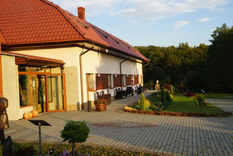 DPS - Skrzyszów, niedaleko Rybnika