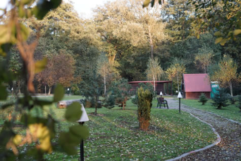 Opieka Całodobowa - Skrzyszów, niedaleko Raciborza